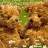 two teddy bears sitting together in a flower meadow